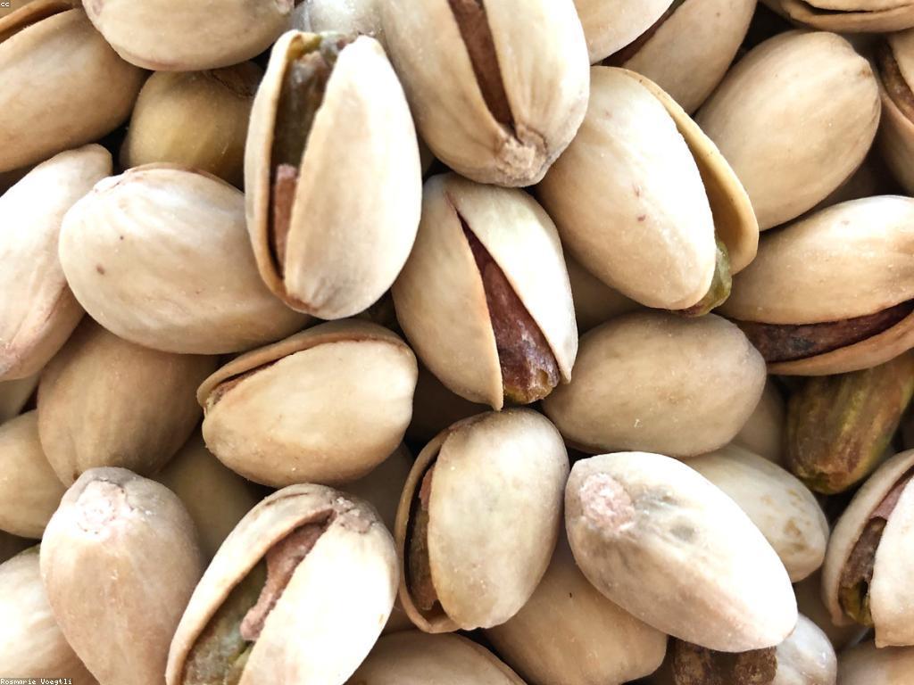 សេចក្តីព្រាង និងអត្ថប្រយោជន៍