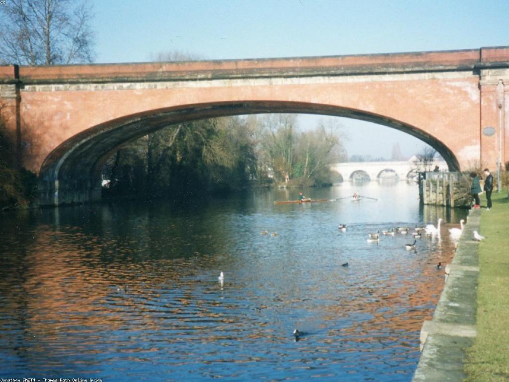 ការណែនាំអនឡាញ: ជំហានដំបូងសម្រាប់ការទទួលបានជោគជ័យ